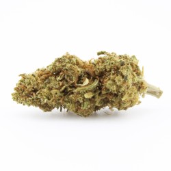 Tsunami CBD
