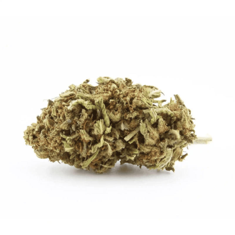Diesel Tonic CBD 2024 (Biologique français)