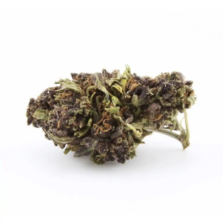Purple Runtz CBD
