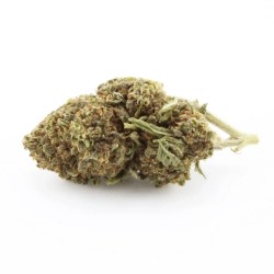 Skywalker OG NL1