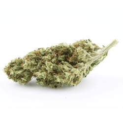 Banana Berry CBD