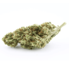 Banana Berry CBD